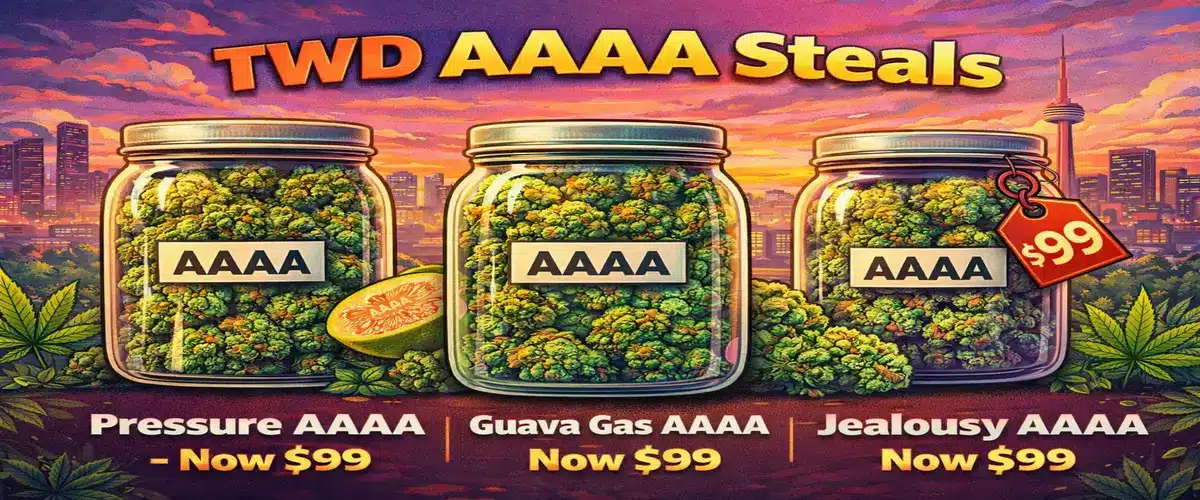 TWD_AAAA_Steals_1200x500