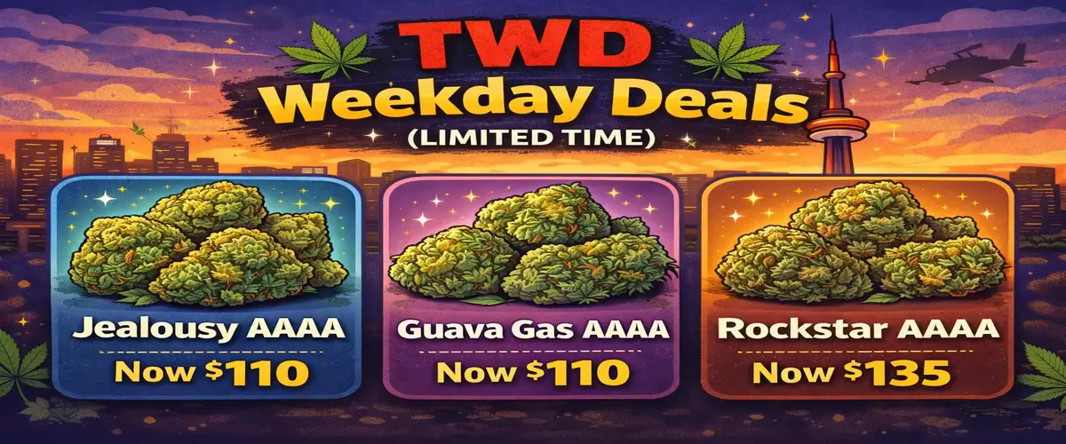 TWD_Weekday_Deals_1200x500