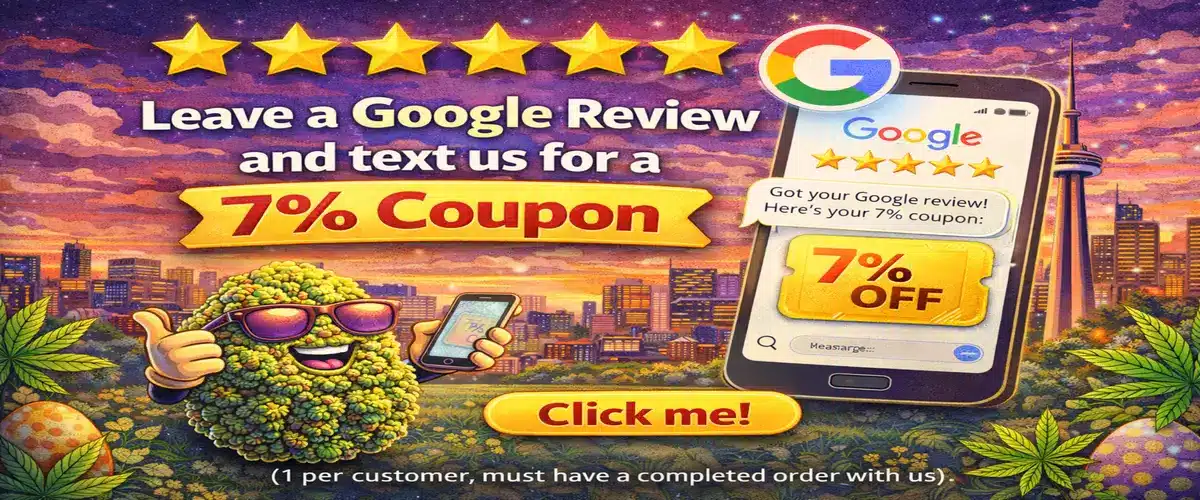 TWD_Review_7percent_1200x500