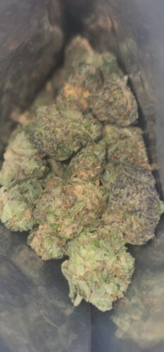 Romulan AA photo review