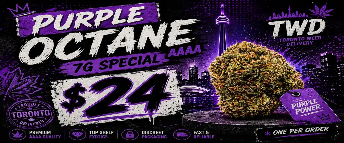 Purple_Octane_1200x500(1)