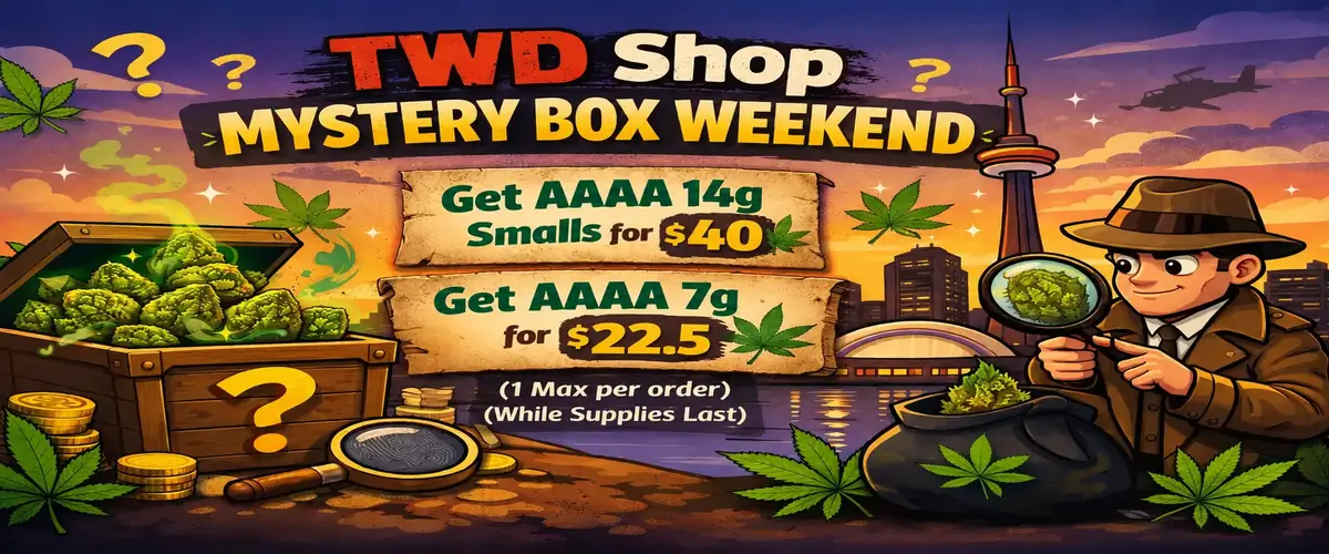 TWD_Mystery_Box_1200x500_Fresh