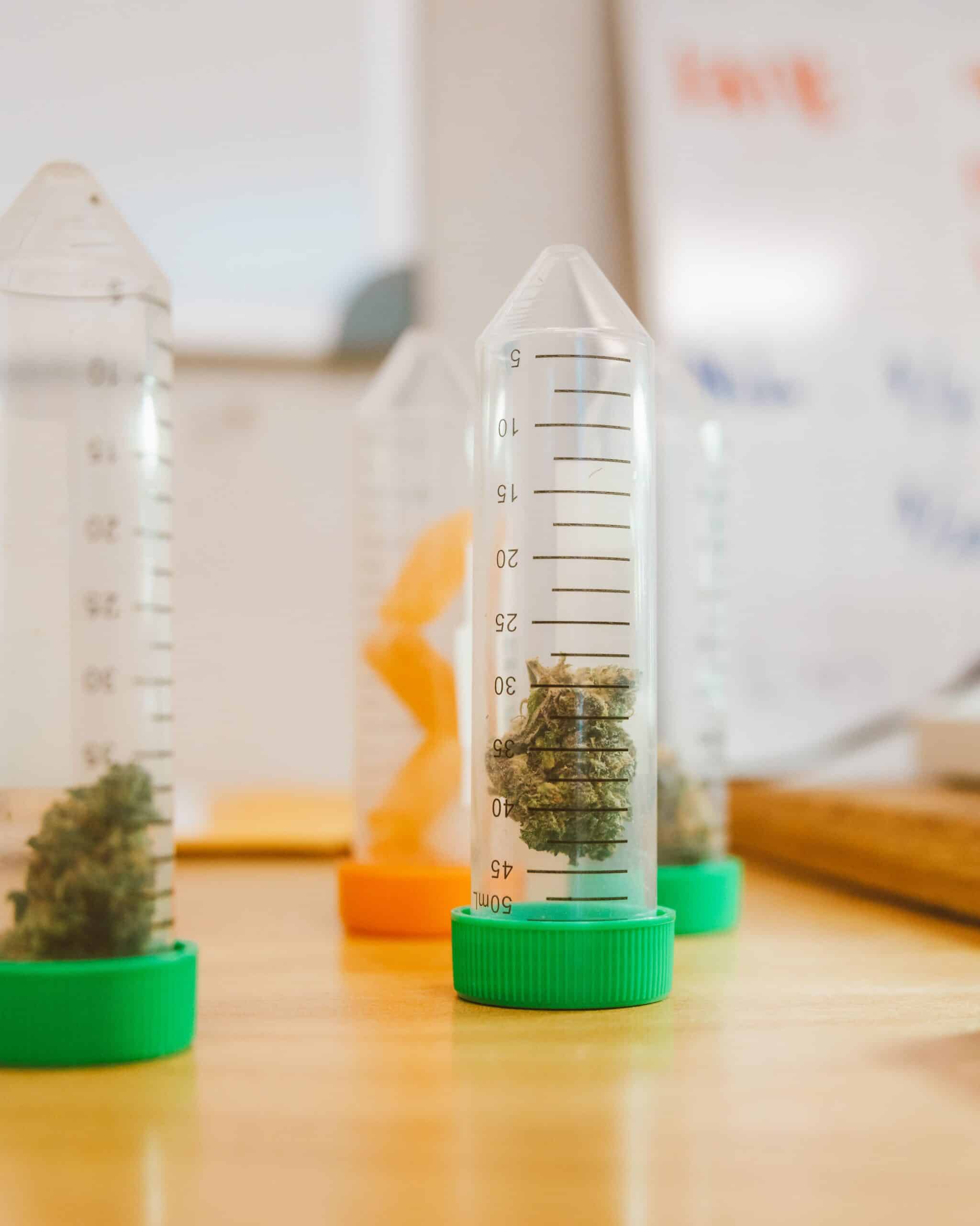 Does Cannabis Microdosing Actually Work? What the Research Shows