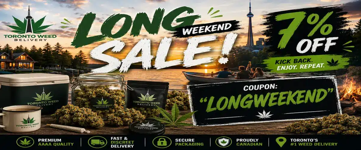 TWD_Long_Weekend_Sale_1200x500