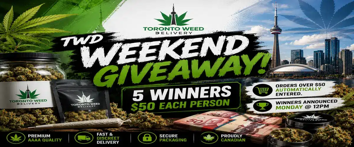 TWD_Weekend_Giveaway_1200x500