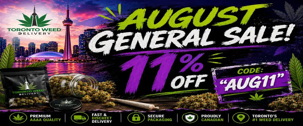 TWD_August_General_1200x500