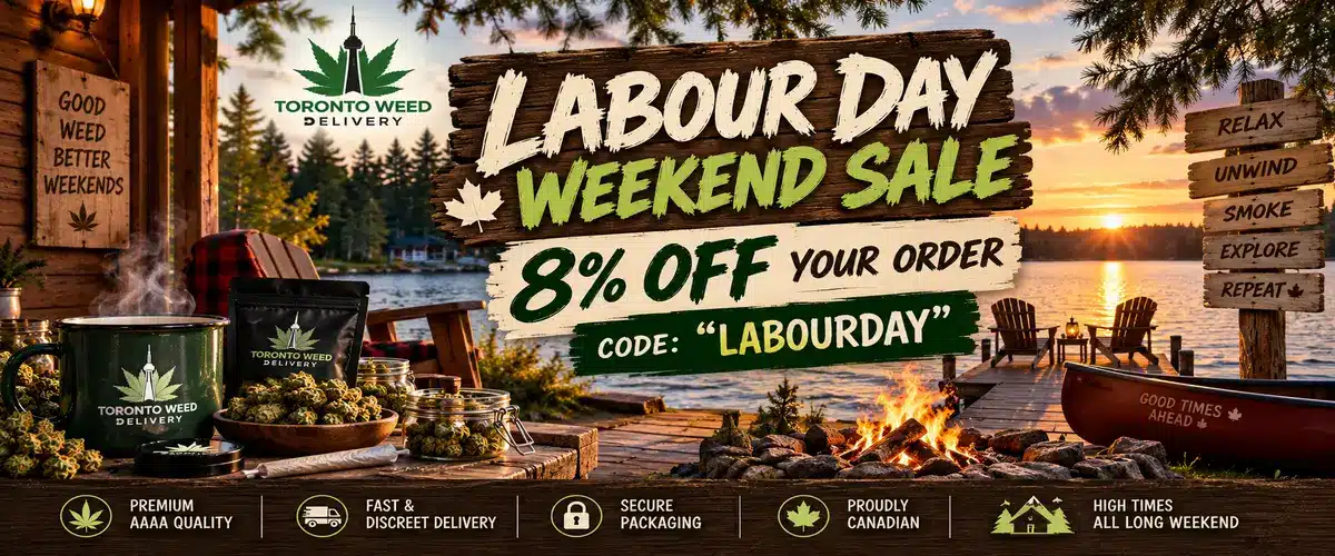 TWD_Labour_Day_Weekend_Sale_1200x500