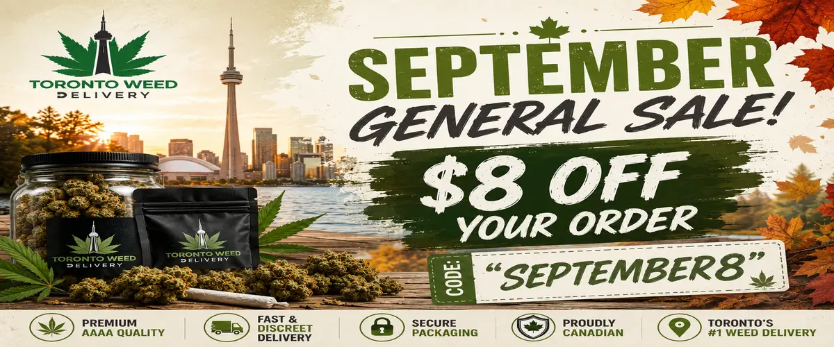 TWD_September_General_Sale_1200x500