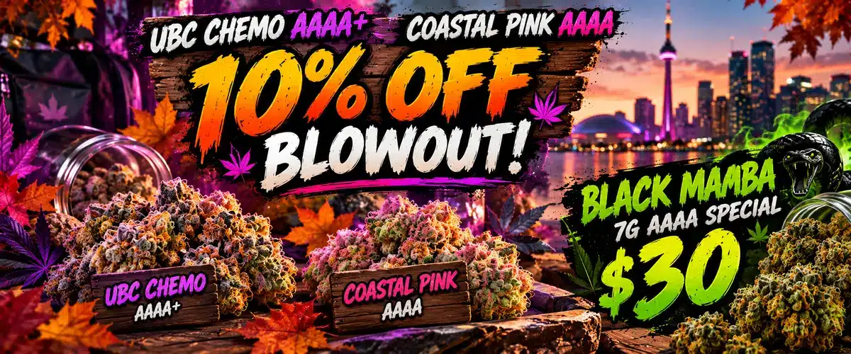 Neon_Cannabis_Blowout_1200x500