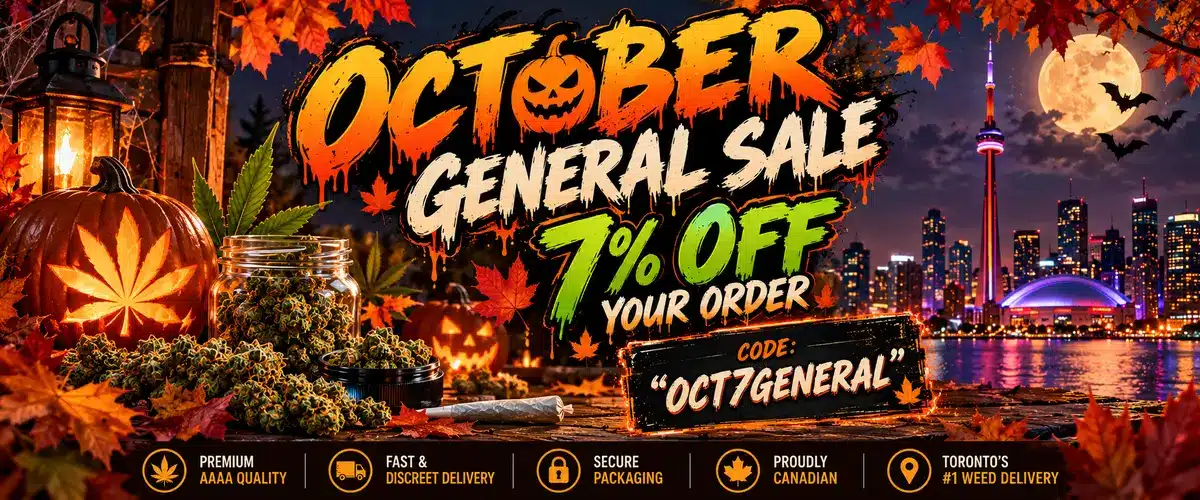 Toronto_October_Sale_1200x500